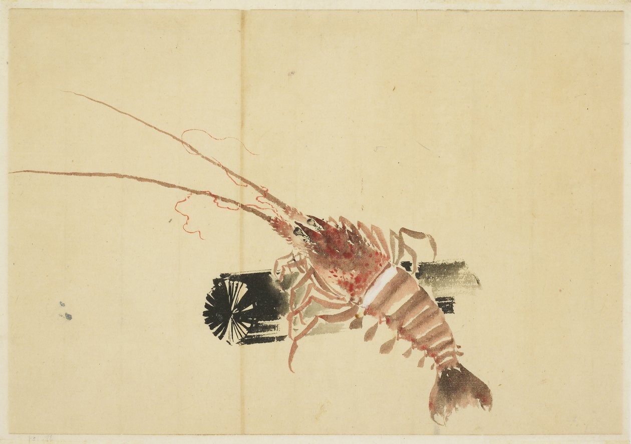 Ebi (Krewetka Olbrzymia) autorstwa Katsushika (school of) Hokusai