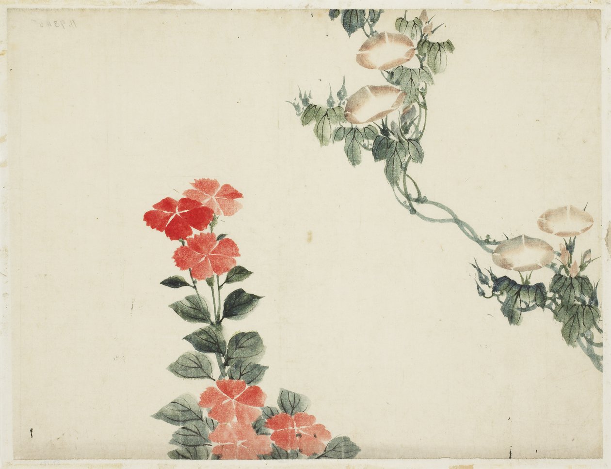 Powój i czerwone kwiaty autorstwa Katsushika (school of) Hokusai