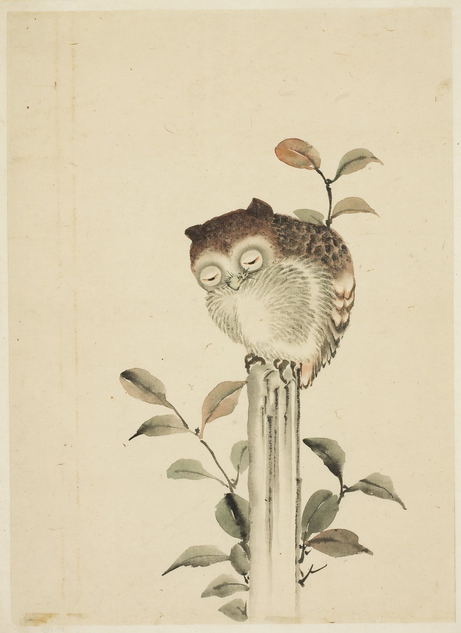 Sowa śpi na pniu autorstwa Katsushika (school of) Hokusai