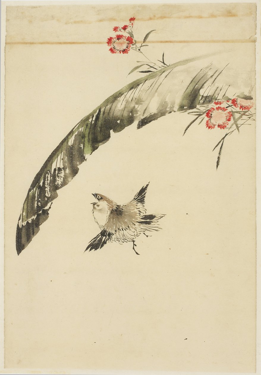 Wróbel i Liść Bananowy i Róże, 1615-1868 (tusz i kolor na papierze) autorstwa Katsushika (school of) Hokusai