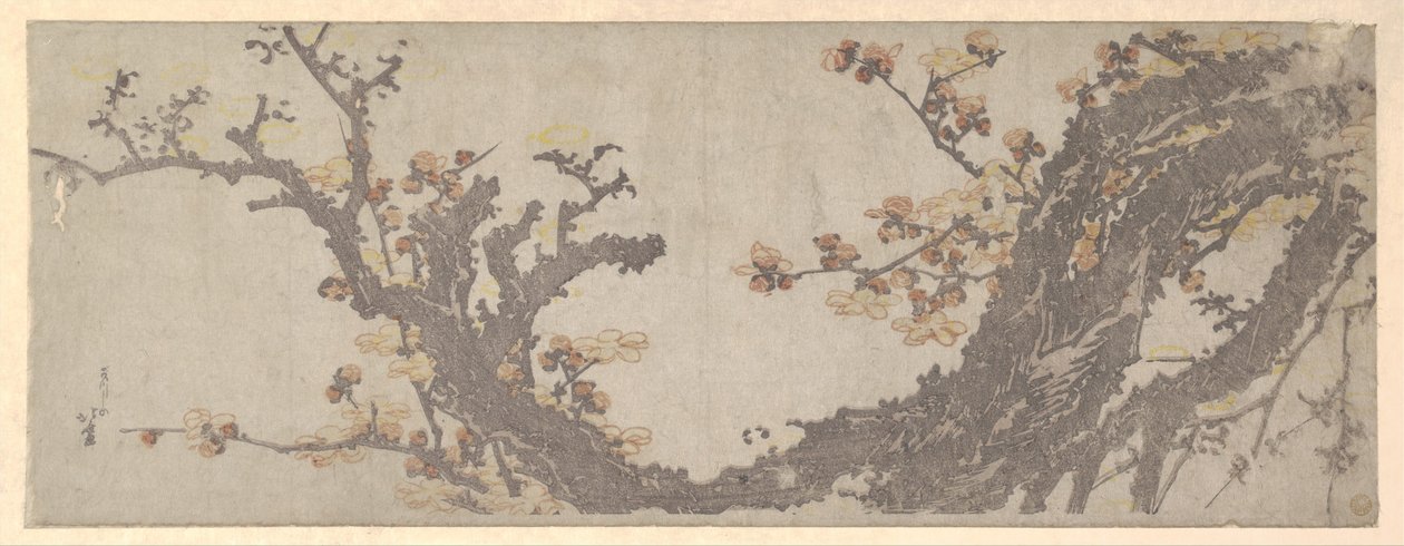 Kwitnąca stara śliwa autorstwa Katsushika Hokusai