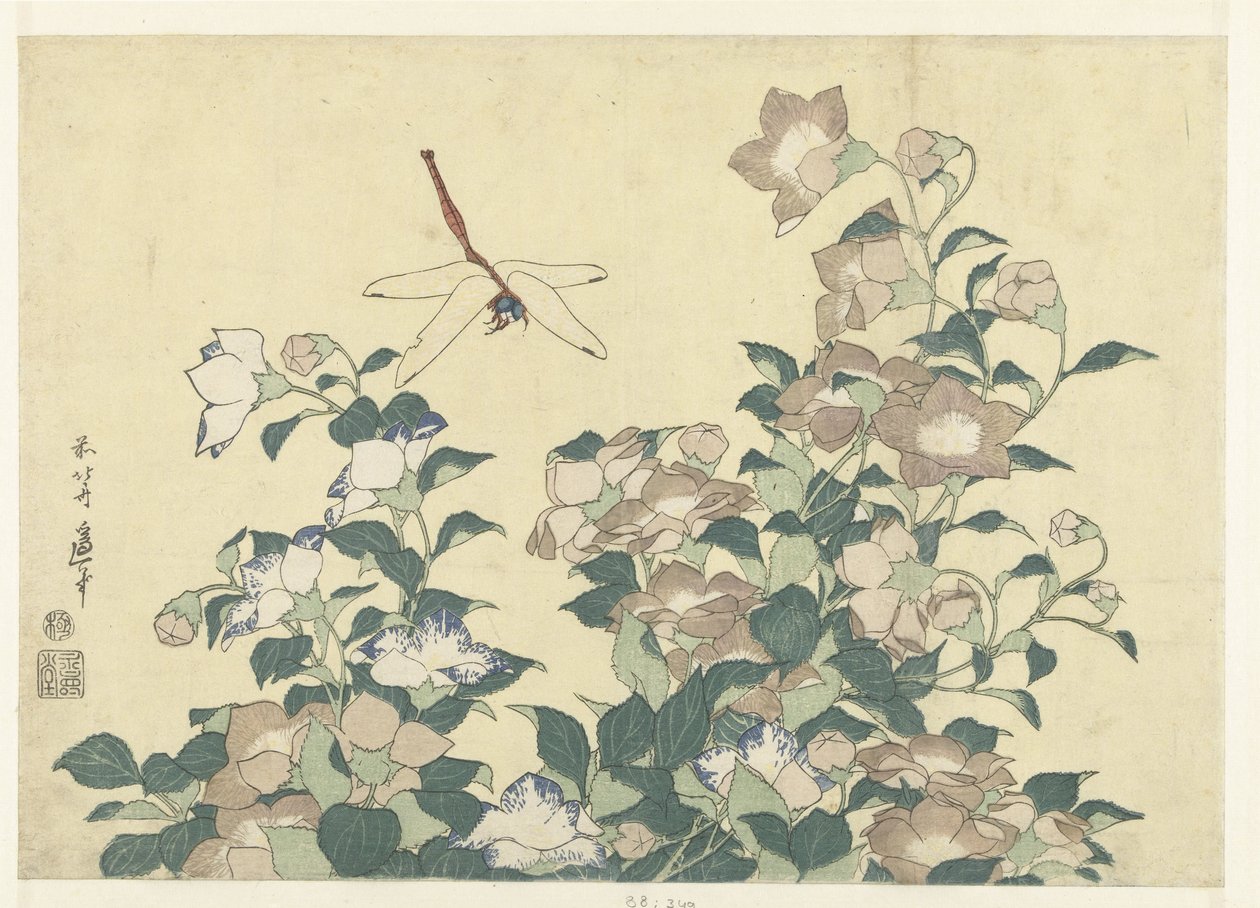Dzwonek balonowy i ważka autorstwa Katsushika Hokusai