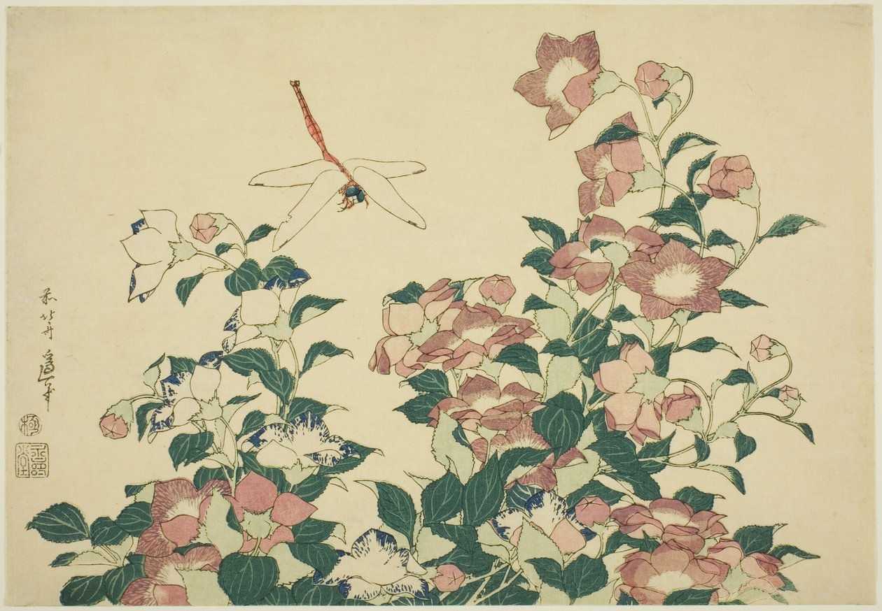 Bell-Flower i Dragonfly, z serii dużych kwiatów bez tytułu autorstwa Katsushika Hokusai