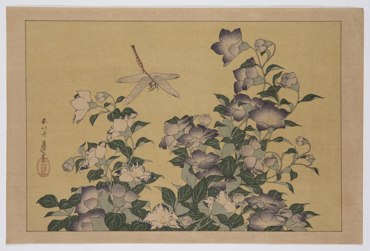 Bellflower and Dragonfly (kolorowy drzeworyt) autorstwa Katsushika Hokusai