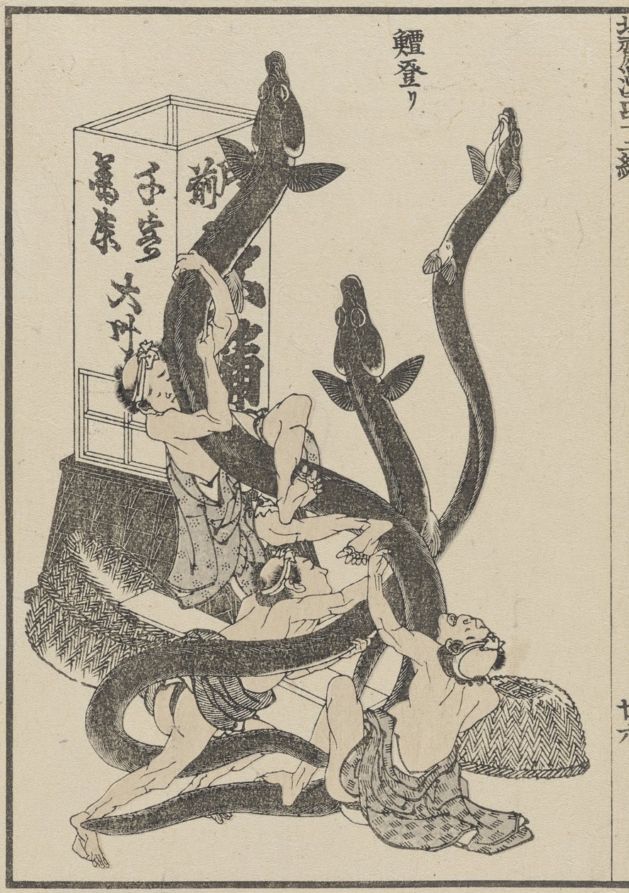 Wielkie węgorze, ok. 1840 (odbitka drzeworytnicza) autorstwa Katsushika Hokusai
