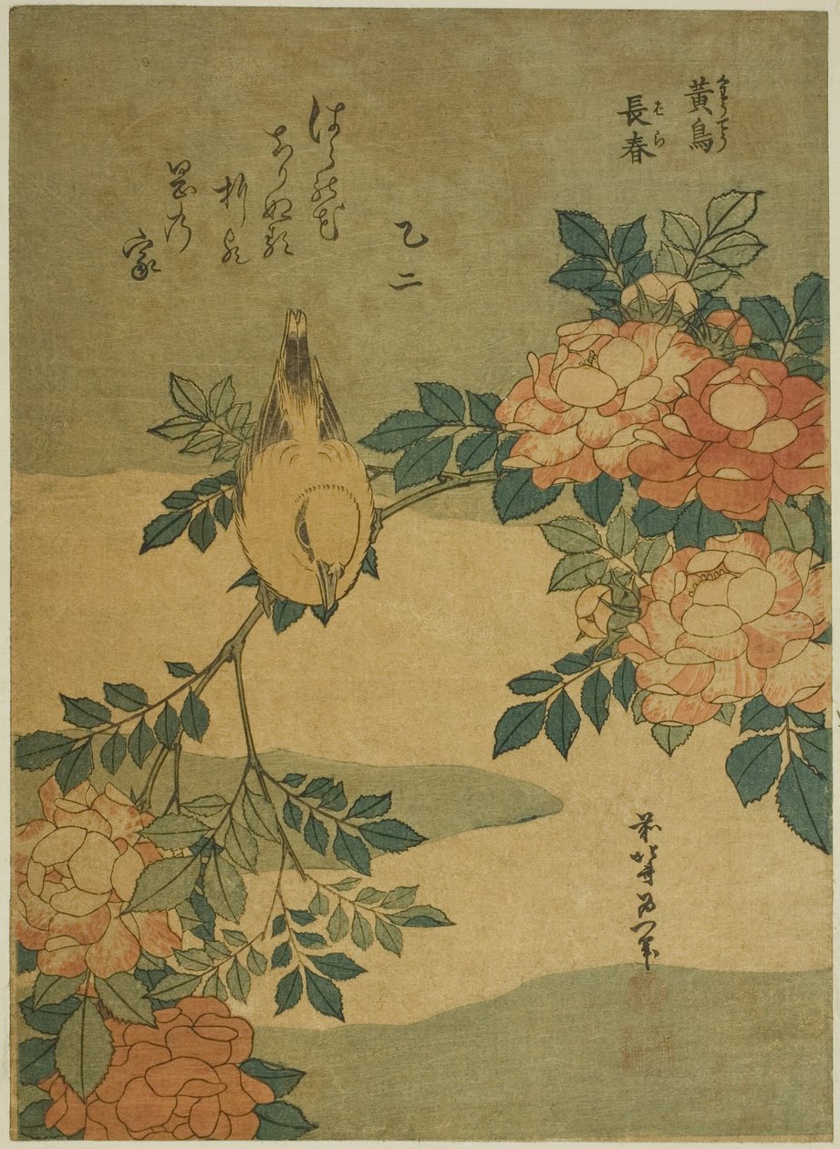 Pokrzewka i Róża (Kocho, bara), z bez tytułu serii kwiatów i ptaków autorstwa Katsushika Hokusai