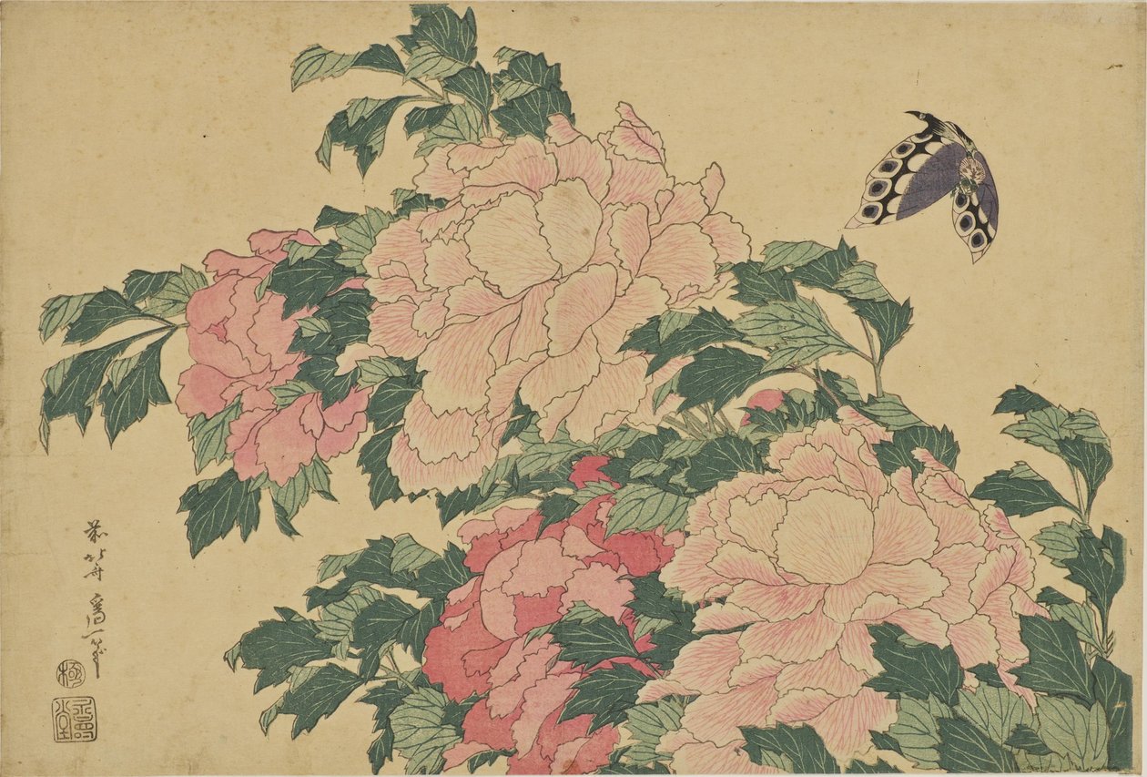 Motyle i piwonie autorstwa Katsushika Hokusai