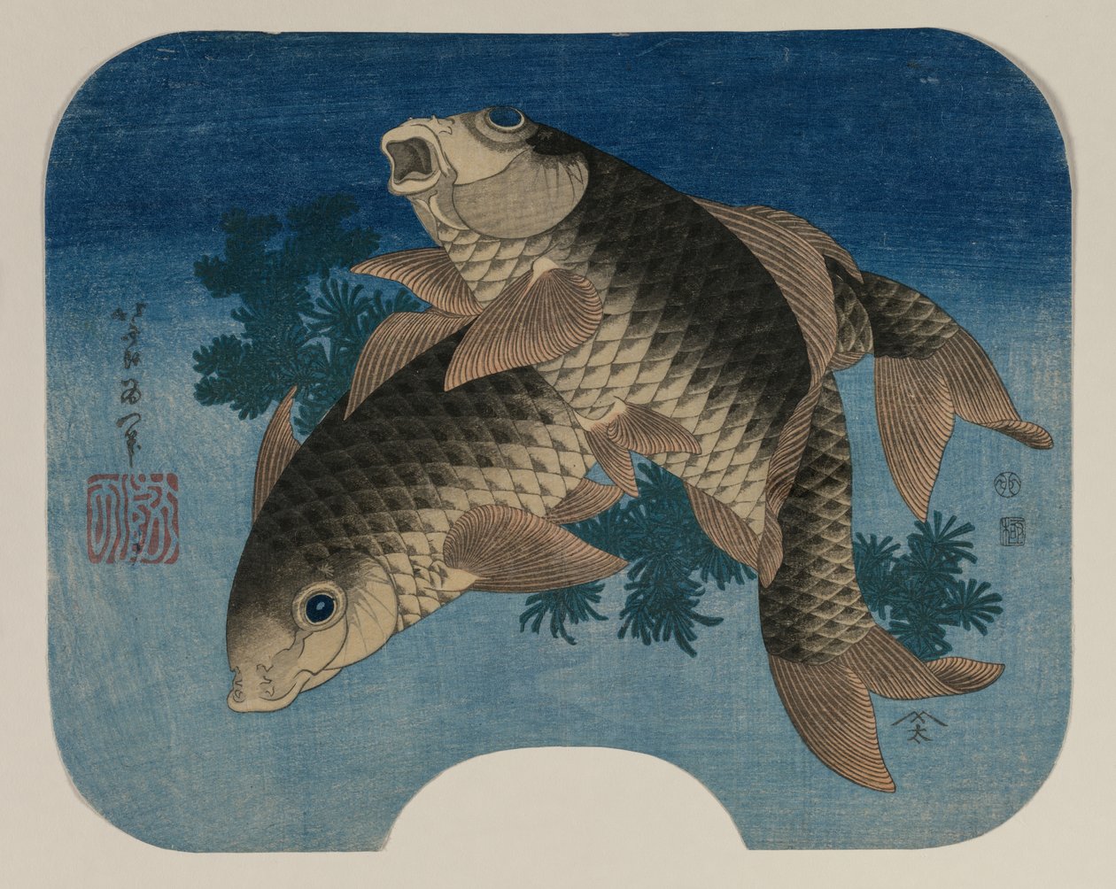 Pływanie karpia przez wodne chwasty autorstwa Katsushika Hokusai