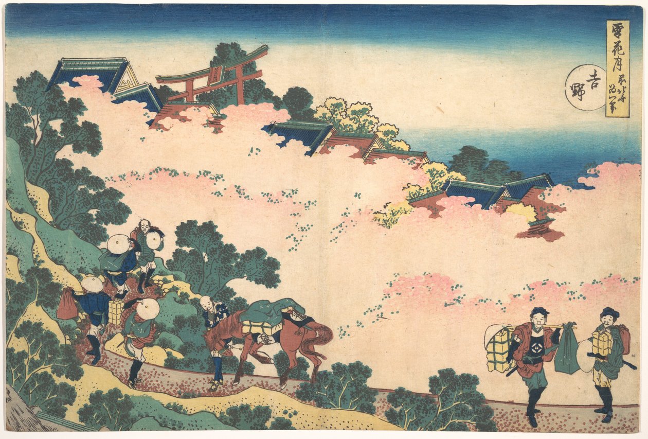 Kwiaty wiśni w Yoshino (Yoshino), z cyklu „Śnieg, księżyc i kwiaty” (Setsugekka) autorstwa Katsushika Hokusai