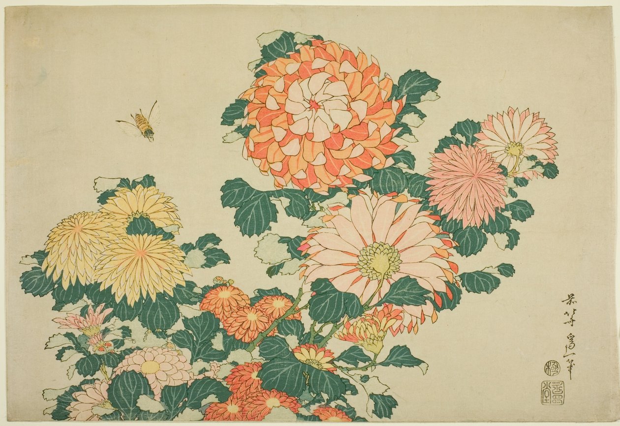 Chryzantemy i pszczoła, z serii bez tytułu Duże kwiaty autorstwa Katsushika Hokusai