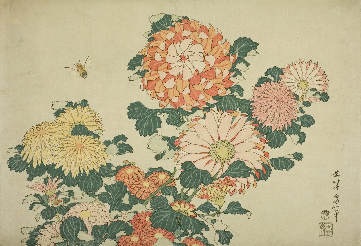 Chryzantemy i pszczoły, z serii bez tytułu Duże kwiaty, ok. 1833-34 autorstwa Katsushika Hokusai