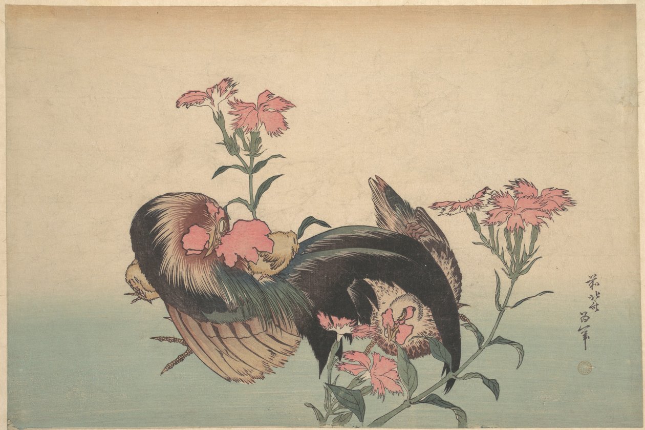 Kogut, Kura i Nadeshiko (Dianthus Superbus) autorstwa Katsushika Hokusai