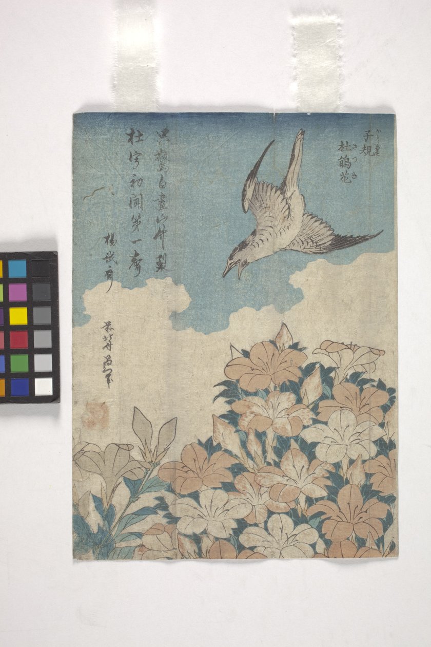 Kukułka i Azalia (drzeworyt kolorowy) autorstwa Katsushika Hokusai