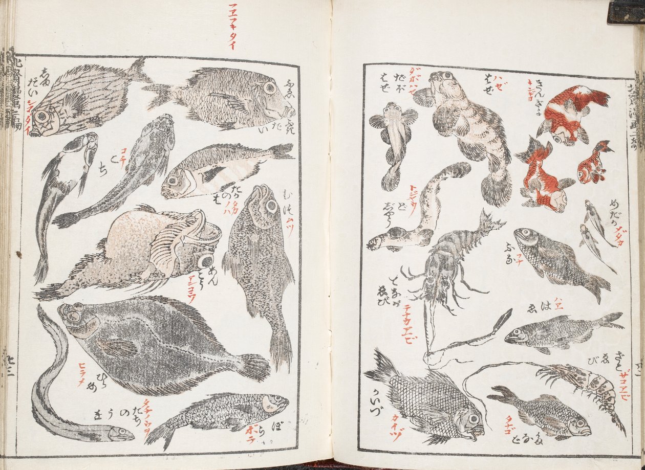 Ryby i stworzenia morskie autorstwa Katsushika Hokusai