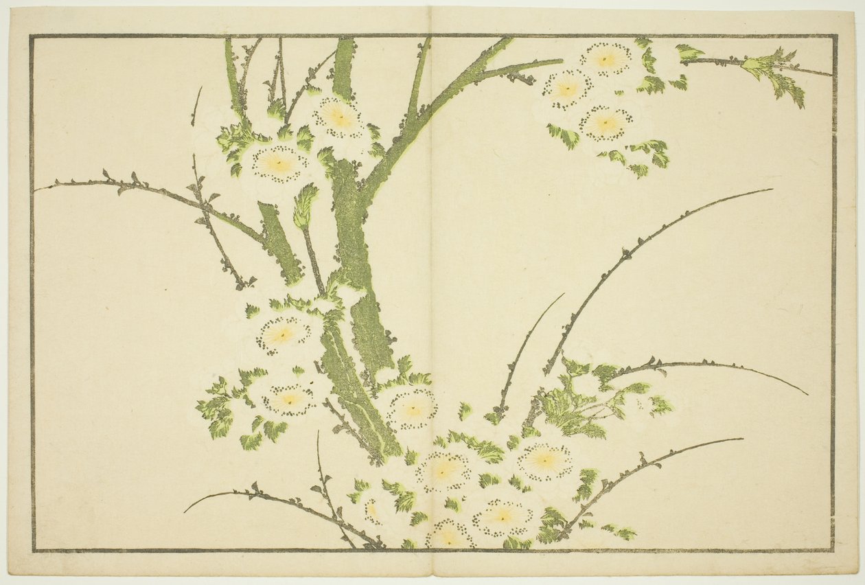 Kwiaty, z Księgi obrazkowej realistycznych obrazów Hokusai (Hokusai shashin gafu) autorstwa Katsushika Hokusai