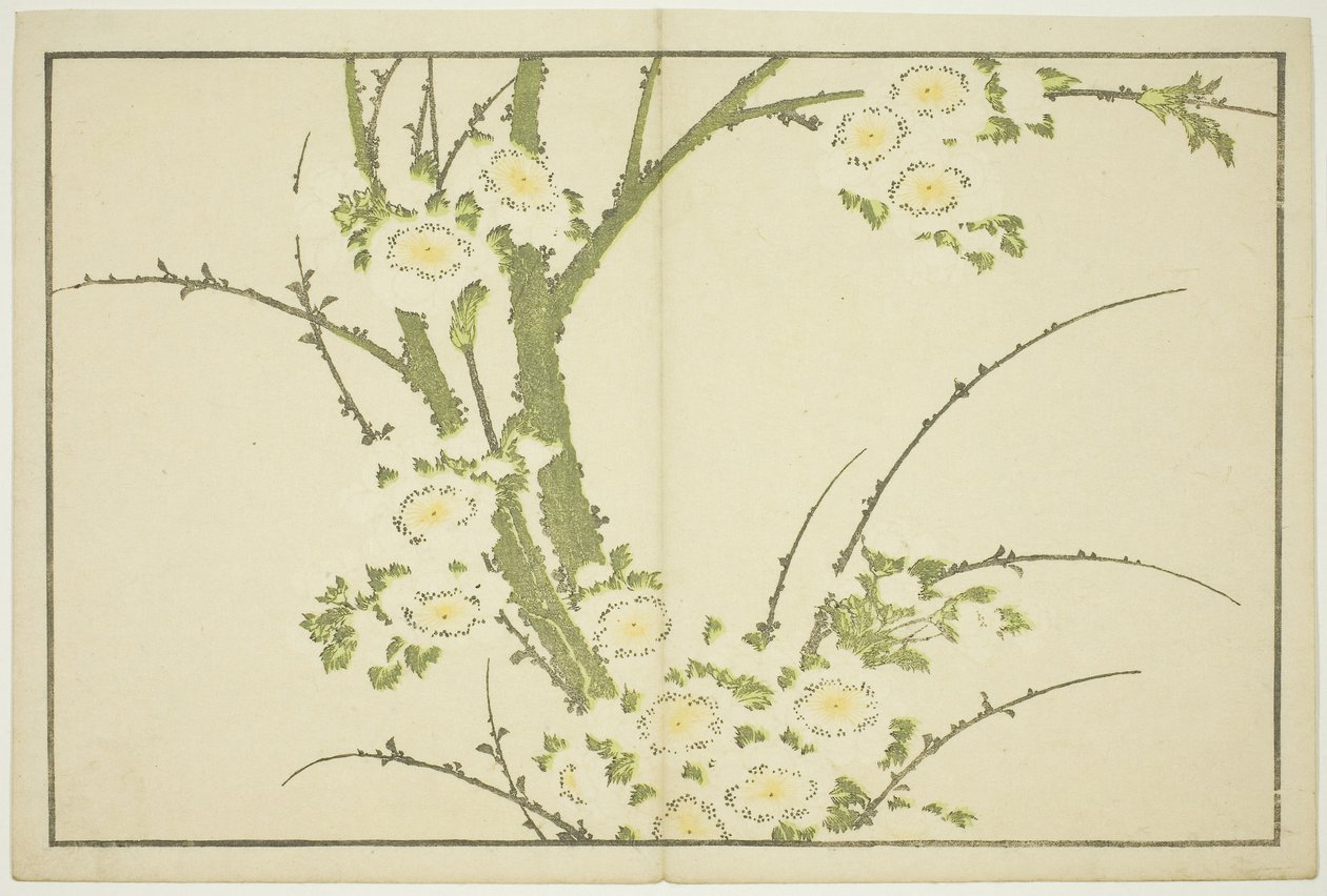 Kwiaty, z Obrazkowej księgi realistycznych obrazów Hokusaia (Hokusai shashin gafu), ok. 1814 (kolorowy drzeworyt (arkusz albumu)) autorstwa Katsushika Hokusai