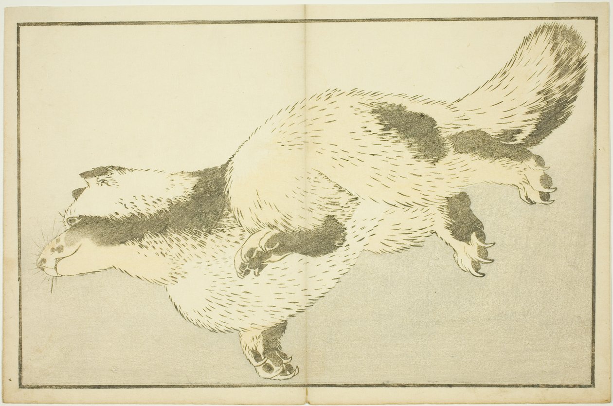 Lis, z Księgi obrazkowej realistycznych obrazów Hokusaia (Hokusai shashin gafu) autorstwa Katsushika Hokusai