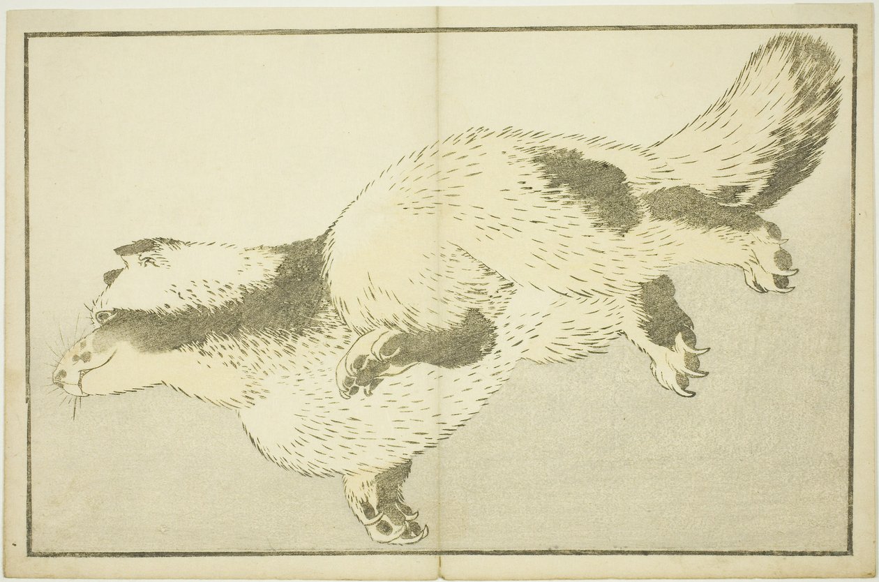 Lis, z Księgi obrazkowej realistycznych obrazów Hokusaia (Hokusai shashin gafu) autorstwa Katsushika Hokusai