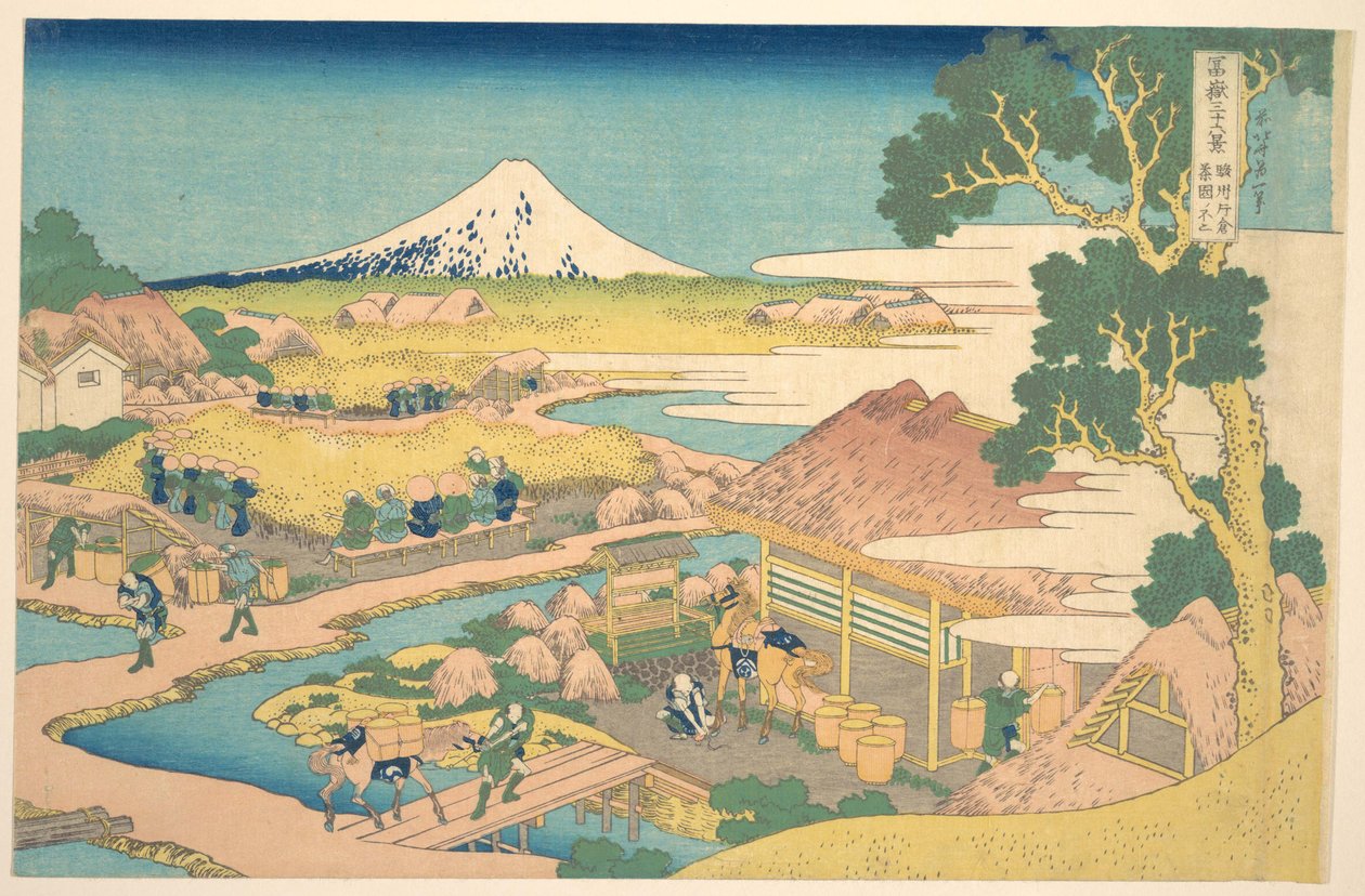 Fuji z plantacji herbaty Katakura w Suruga (Sunshū Katakura chaen no Fuji), z cyklu „Trzydzieści sześć widoków góry Fuji” (Fugaku sanjūrokkei) autorstwa Katsushika Hokusai