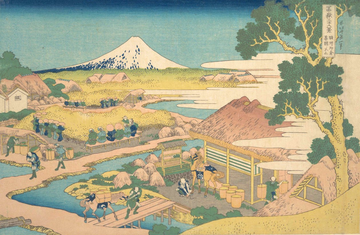 Fuji z Katakura Thea Fields jest członkiem Katakura Tea Plantation Fuji, z t. t. . . , komar. 1830-32. autorstwa Katsushika Hokusai