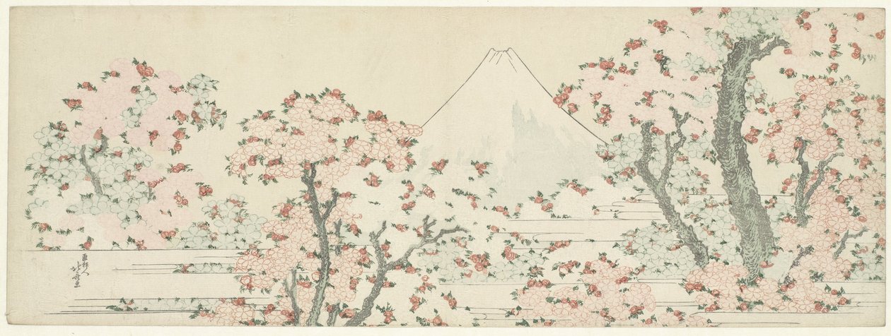 Fuji nad kwiatem wiśni, ok. 1800-1805 (drzewryt) autorstwa Katsushika Hokusai
