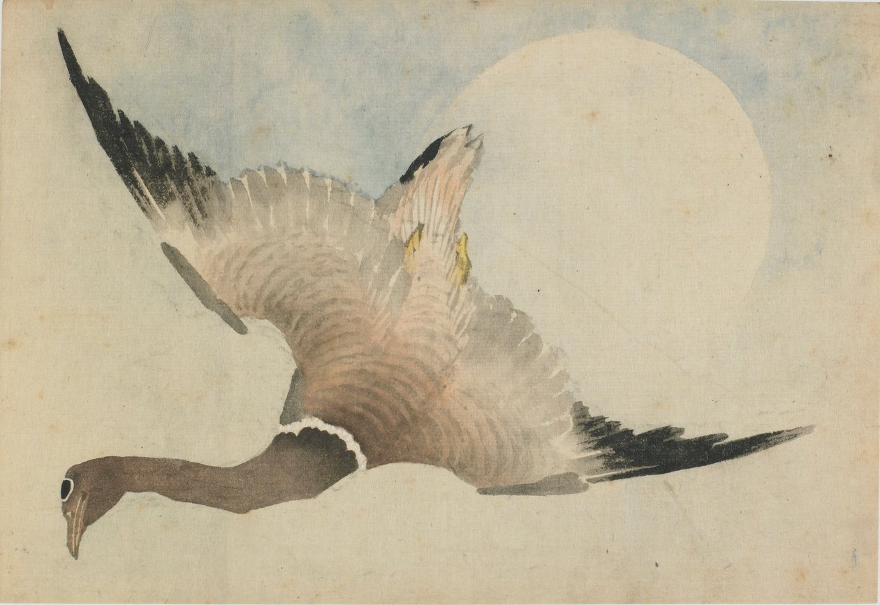Gęś latająca przed księżycem, koniec XVIII-początek XIX wieku. autorstwa Katsushika Hokusai