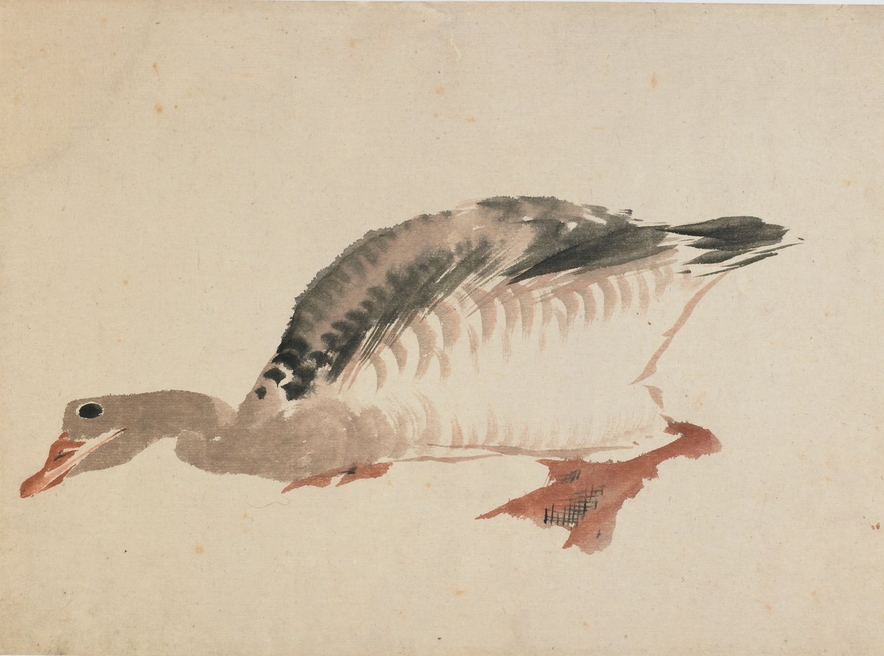 Gęś, koniec XVIII – początek XIX wieku. autorstwa Katsushika Hokusai