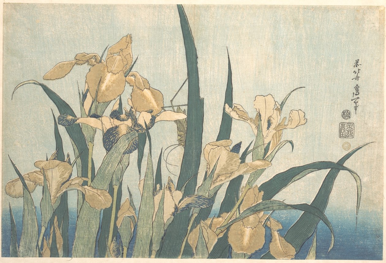 Konik polny i irys autorstwa Katsushika Hokusai