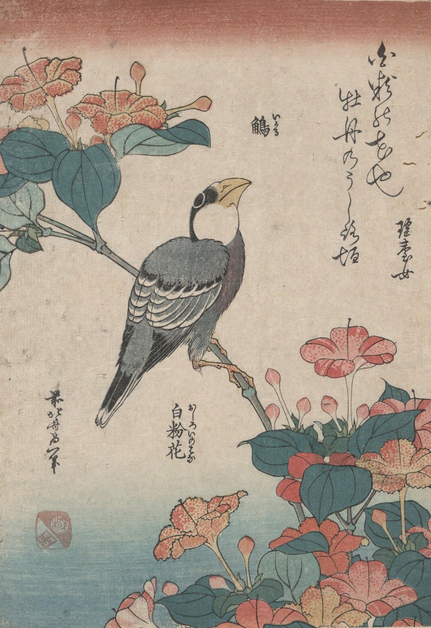 Grosbeak on Mirabilis, z serii bez tytułu Małe kwiaty autorstwa Katsushika Hokusai