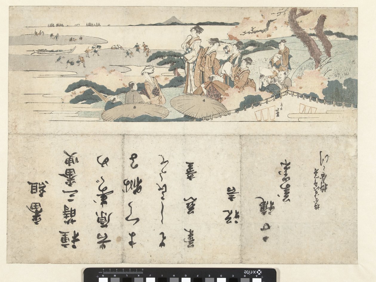 Oglądanie kwiatu wiśni autorstwa Katsushika Hokusai