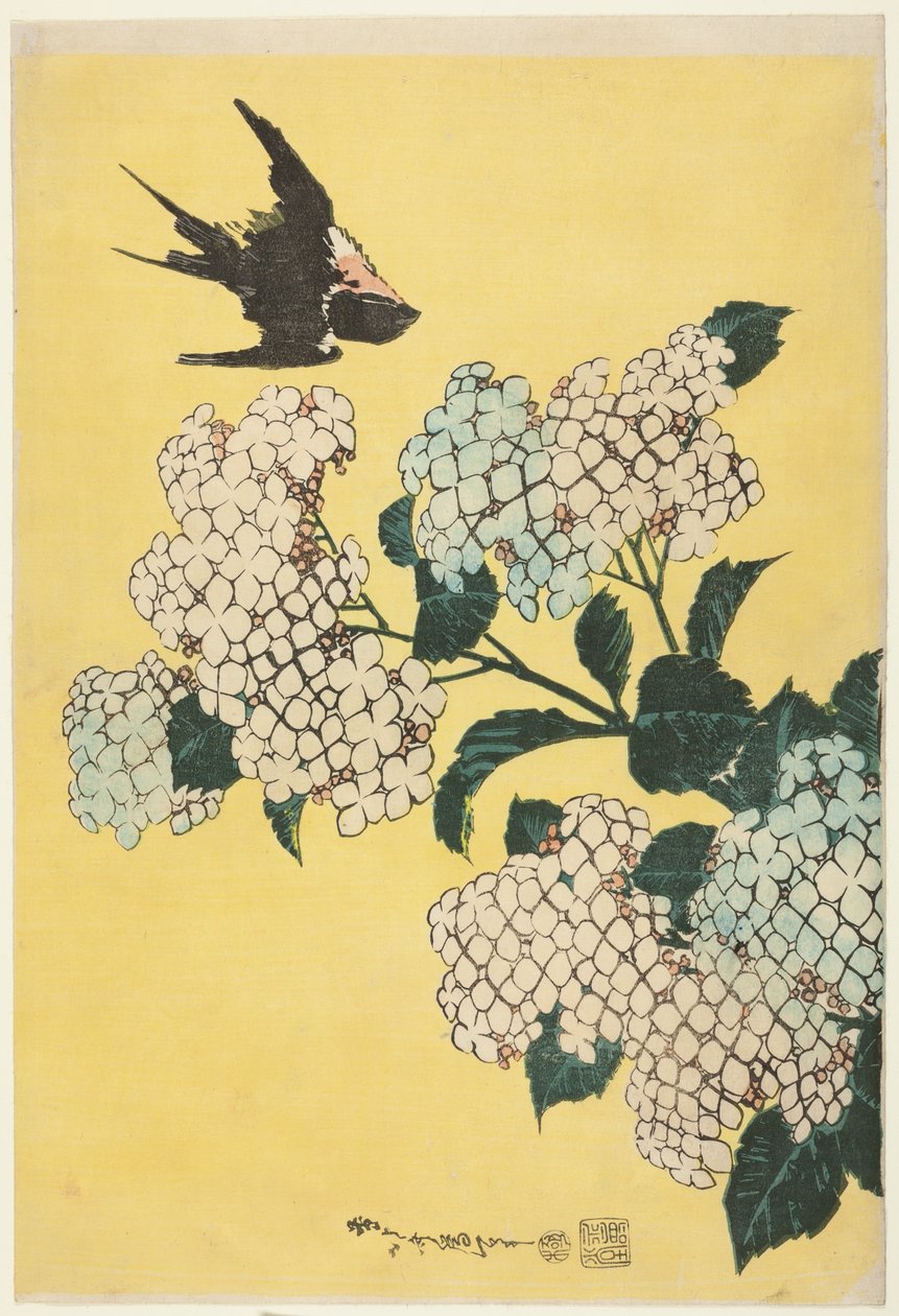 Hortensja i Jaskółka, z serii dużych kwiatów bez tytułu autorstwa Katsushika Hokusai