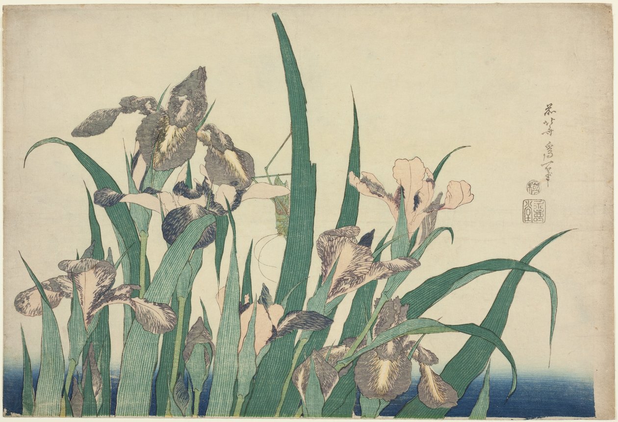 Iris i Grasshopper, z serii dużych kwiatów bez tytułu autorstwa Katsushika Hokusai