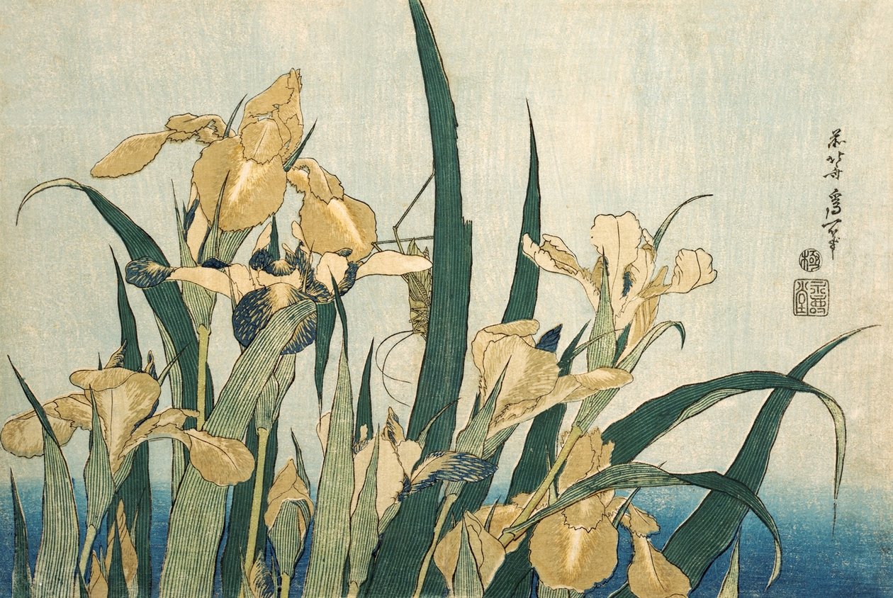 Irysy z konikiem polnym, wyd.1830 autorstwa Katsushika Hokusai