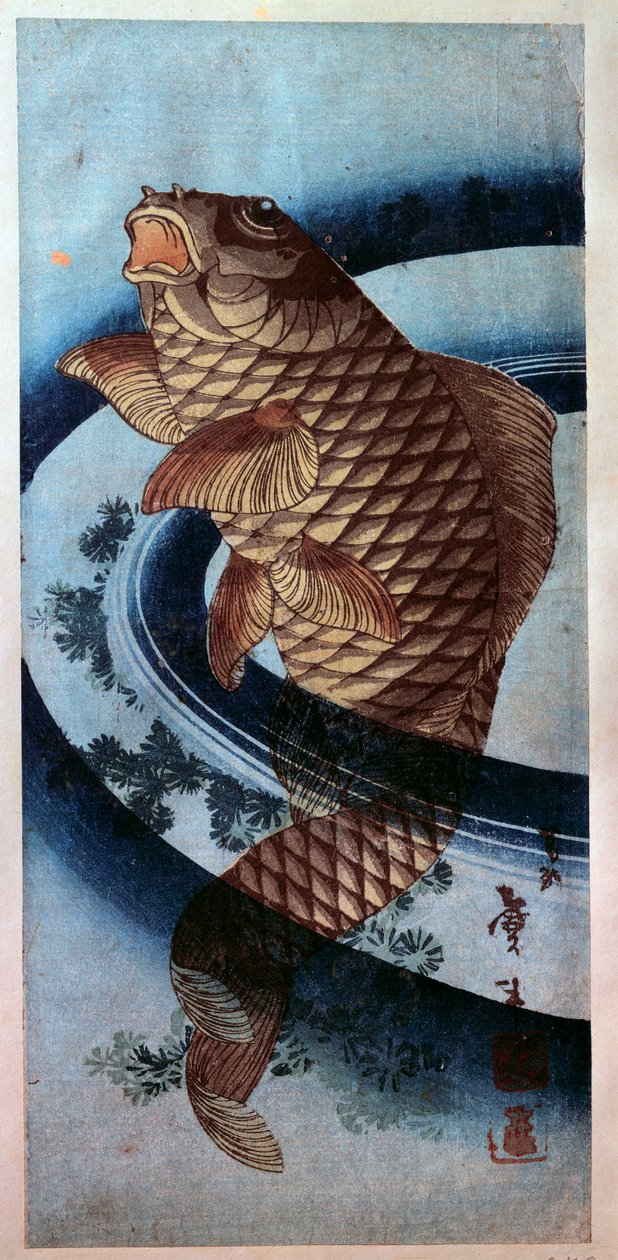 Sztuka japońska: karp. grafika Katsushika Hokusai (1760-1849) XIX-wieczny Paryż, Musee Guimet autorstwa Katsushika Hokusai