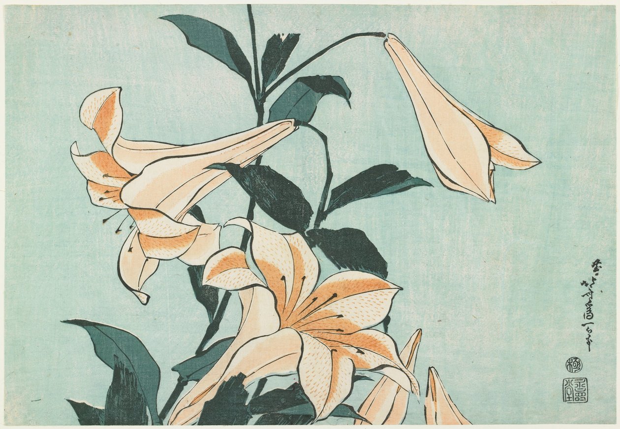 Lilie autorstwa Katsushika Hokusai