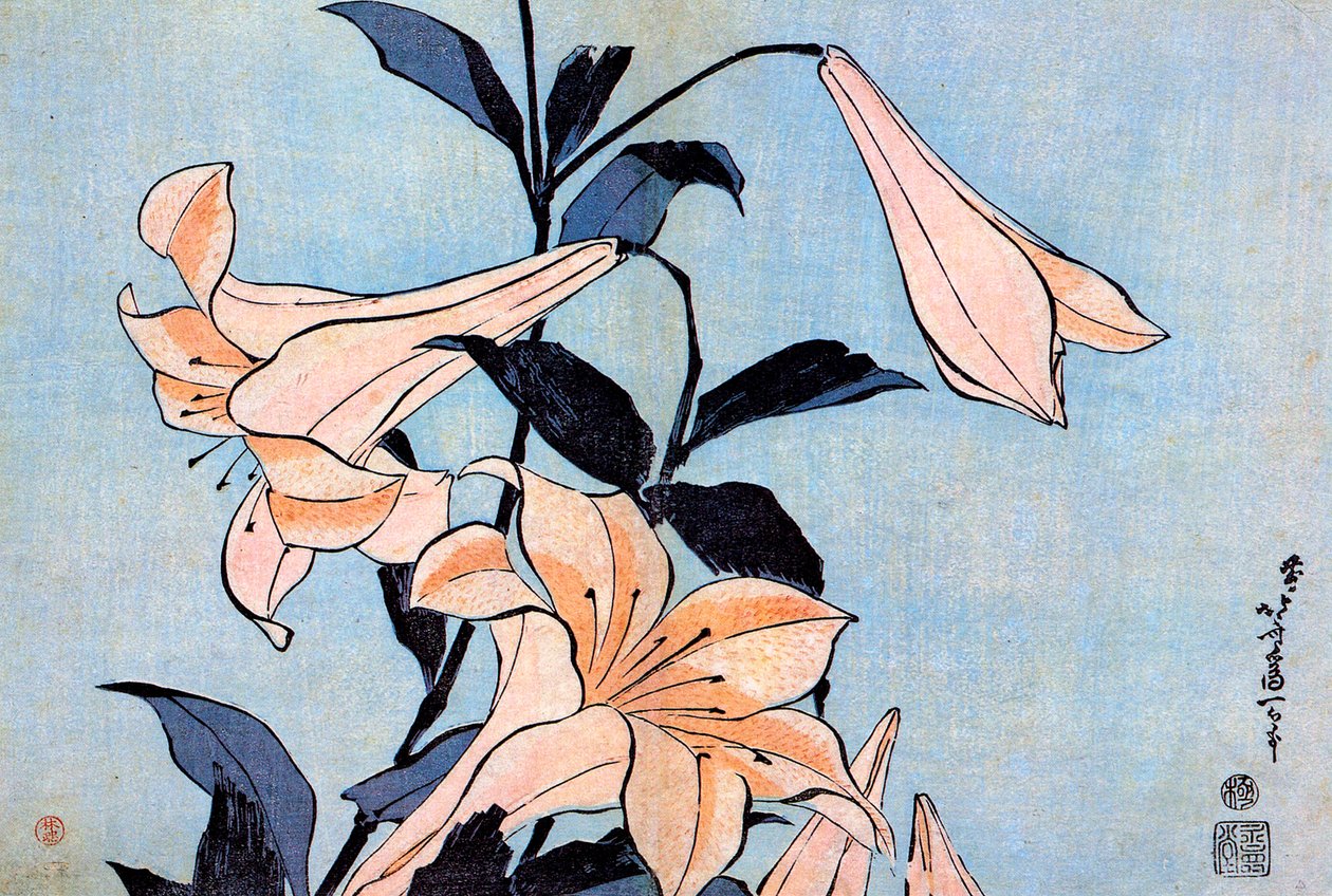 Lilie, ok. 1830. autorstwa Katsushika Hokusai