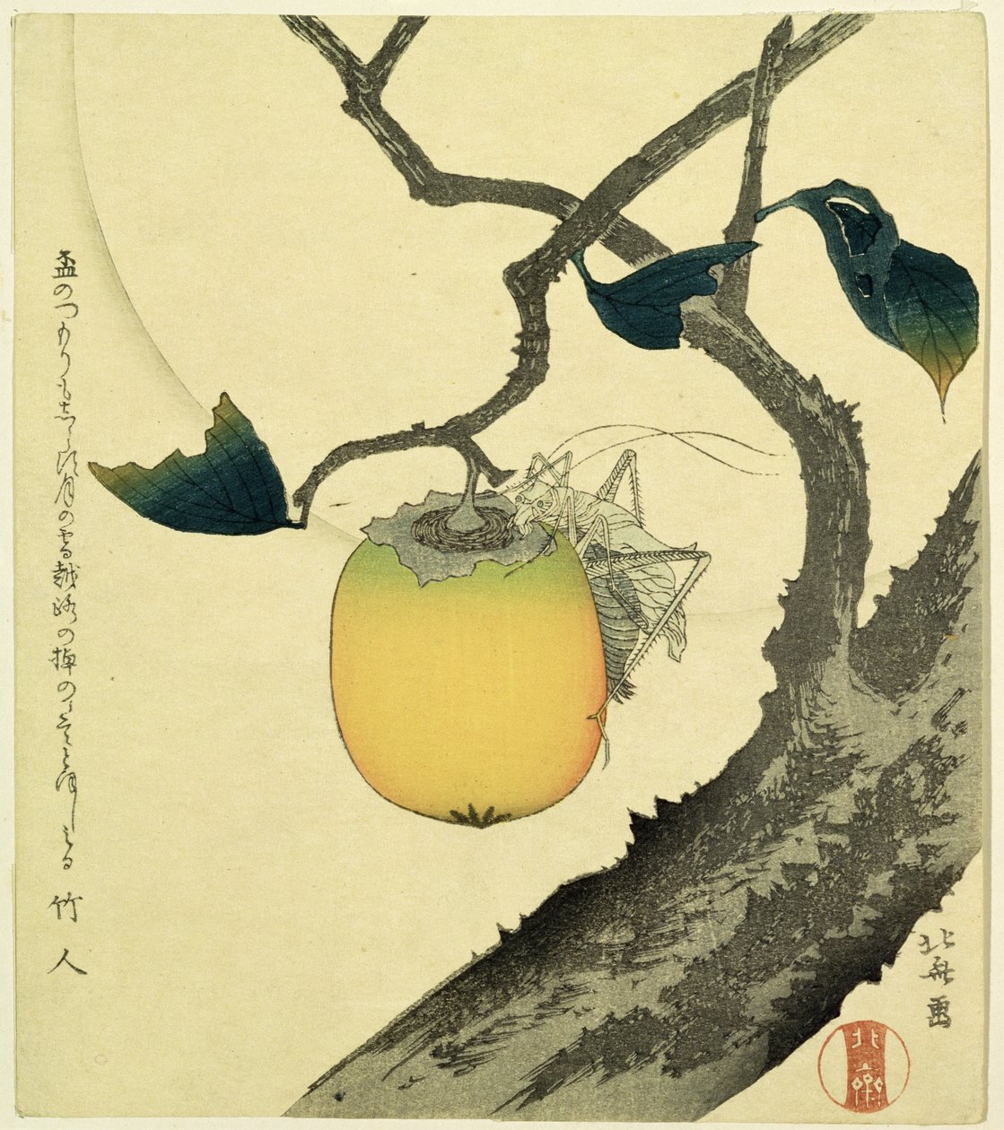 Księżyc, persymona i konik polny, 1807 (drzeworyt kolorowy) autorstwa Katsushika Hokusai