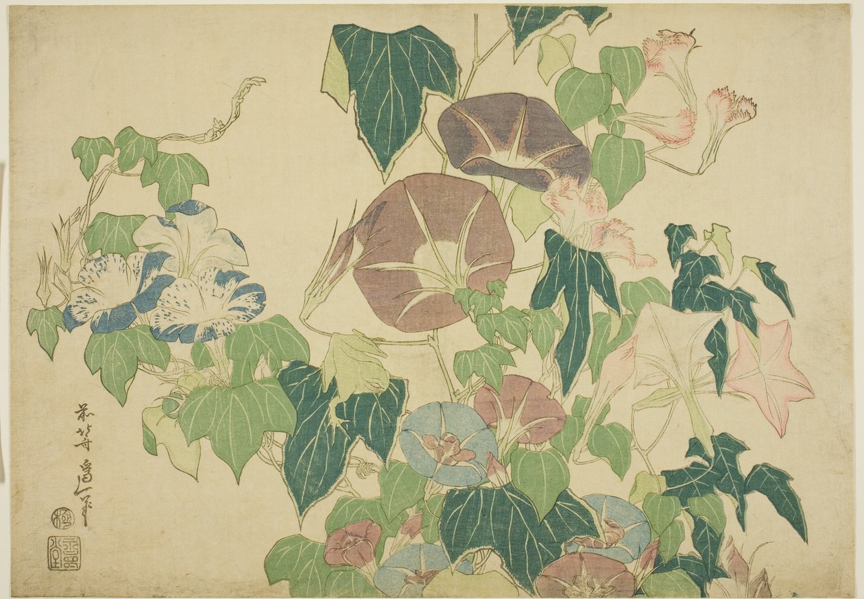 Morning Glories i Tree-frog, z serii bez tytułu Duże kwiaty autorstwa Katsushika Hokusai