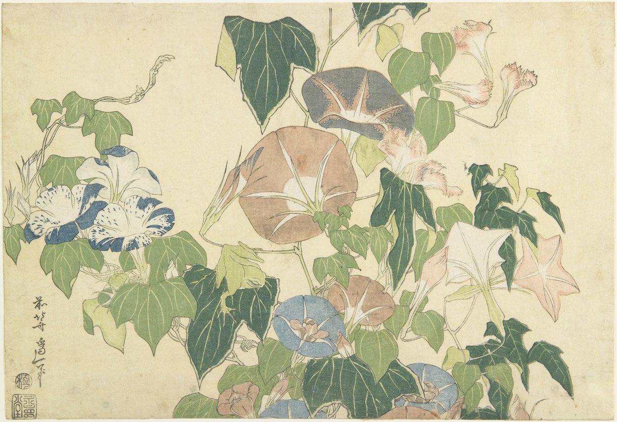 Jutrzenka i żaba drzewna, z cyklu bez tytułu, znanego jako Wielkie kwiaty, ok. 1833-34 (drzeworyt kolorowy) autorstwa Katsushika Hokusai