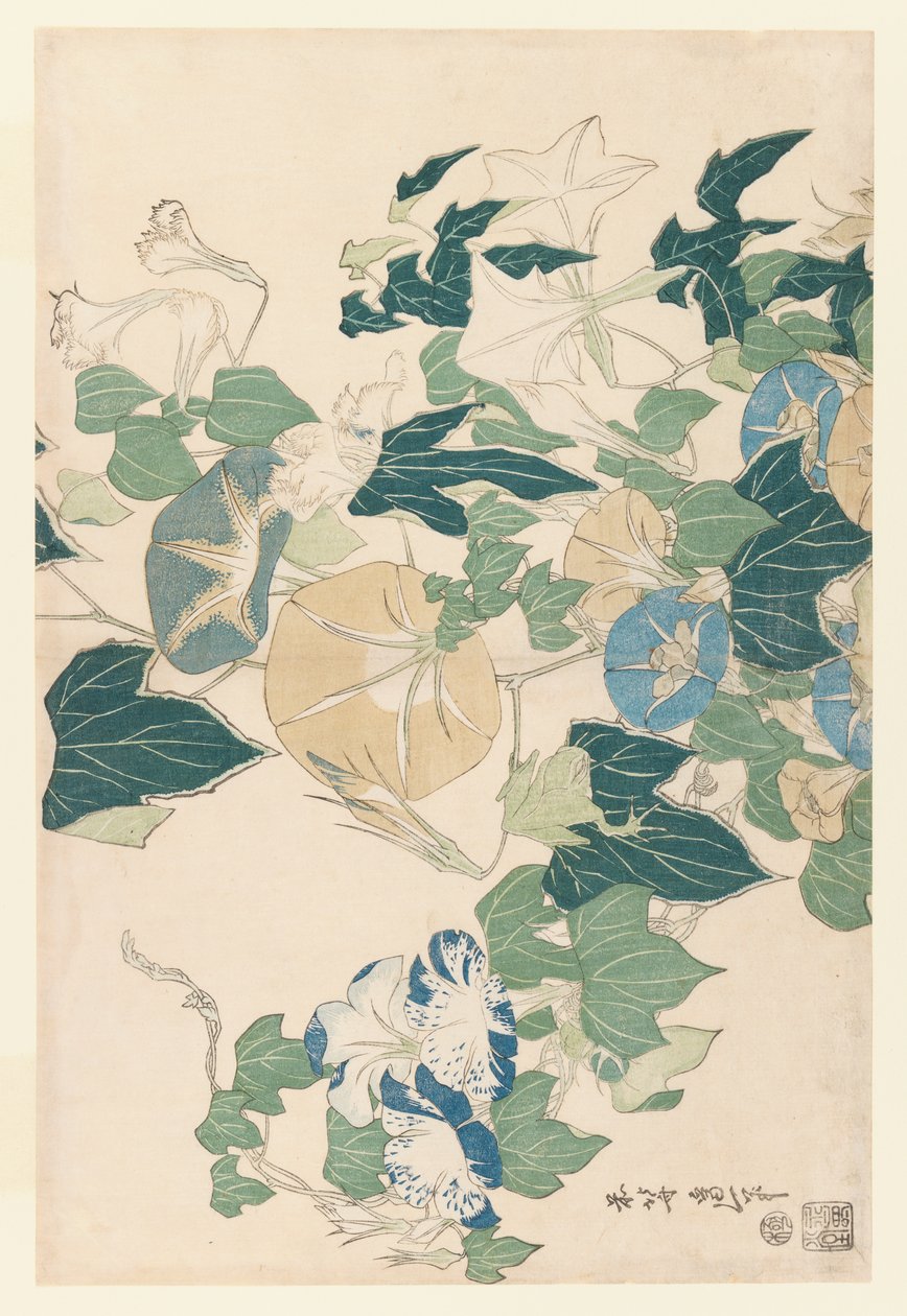 Morning Glories w kwiatach i pąkach, ok. 1830 (kolorowy drzeworyt) autorstwa Katsushika Hokusai