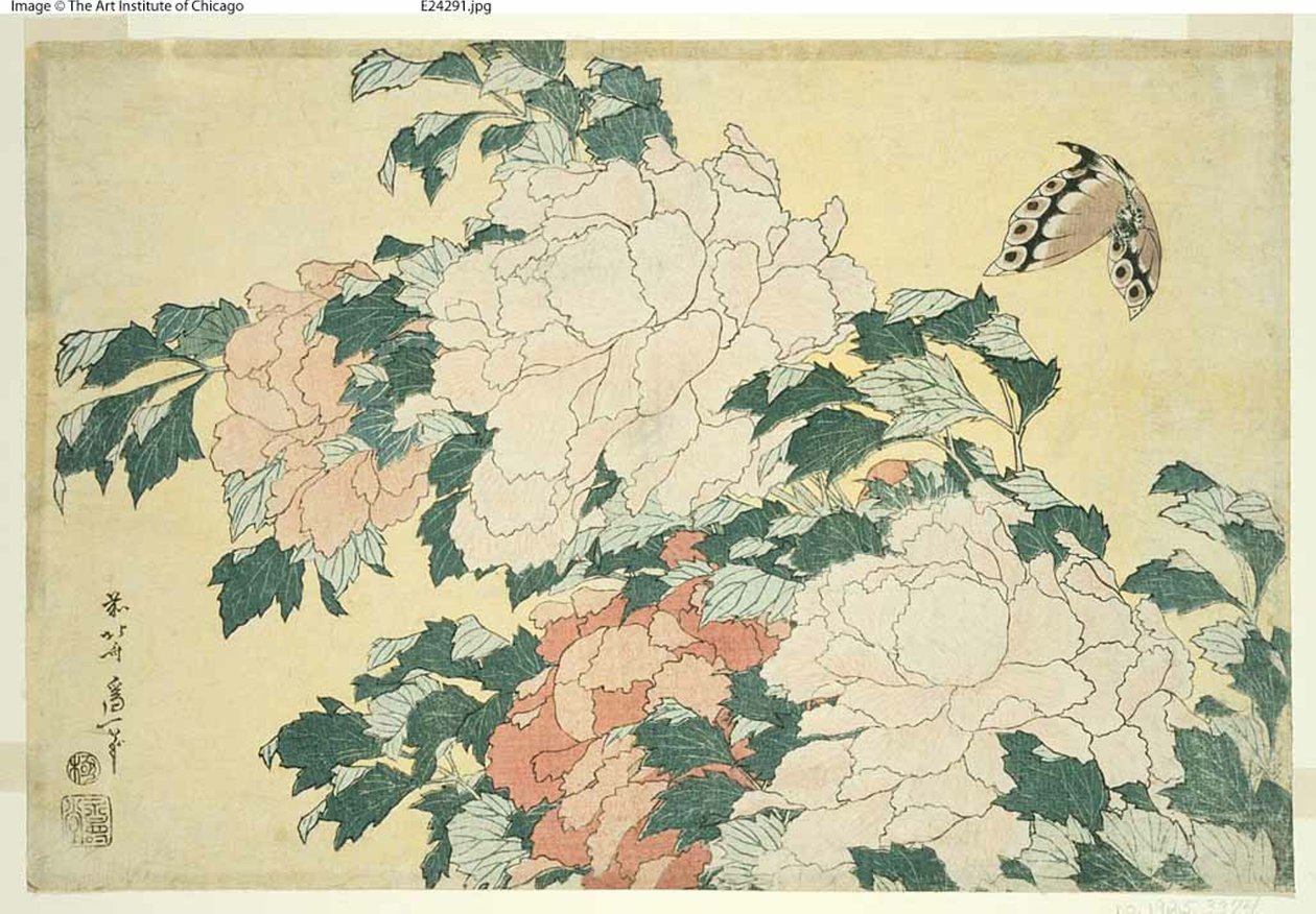 Piwonie i Motyl, z serii dużych kwiatów bez tytułu autorstwa Katsushika Hokusai