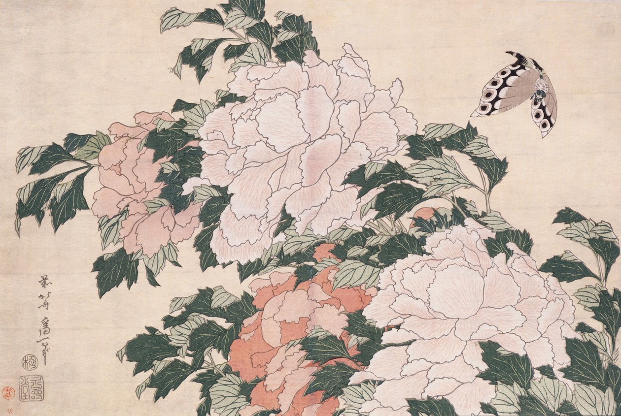 Różowe i czerwone piwonie zdmuchnięte w lewo na wietrze i motylu autorstwa Katsushika Hokusai
