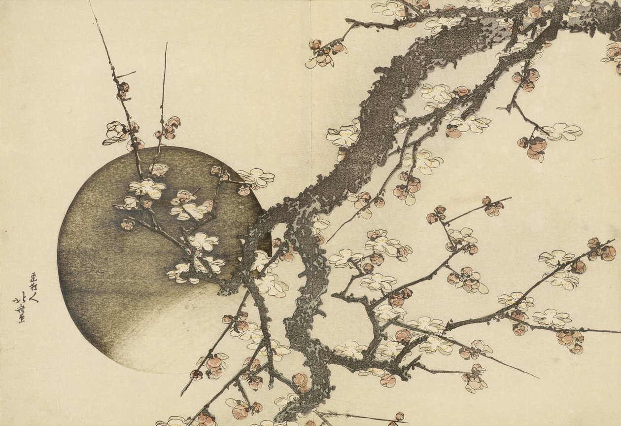 Kwiat śliwy i księżyc z książki Góra Fuji na wiosnę autorstwa Katsushika Hokusai