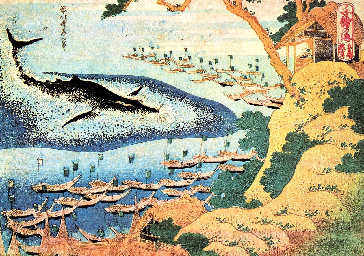 Seria tysiąca widoków oceanu: wieloryb z wysp Goto, Japonia - Rycina Katsushika Hokusai (1760-1849) (szkoła ukiyo-e) 1830-1833 Państwowe Muzeum Sztuk Pięknych im. Puszkina, Moskwa autorstwa Katsushika Hokusai