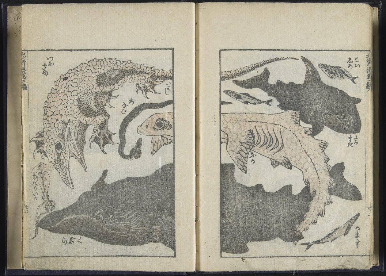 Szkicownik (drewnodruk) autorstwa Katsushika Hokusai