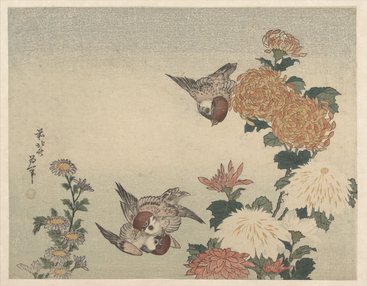 Wróble i chryzantemy autorstwa Katsushika Hokusai