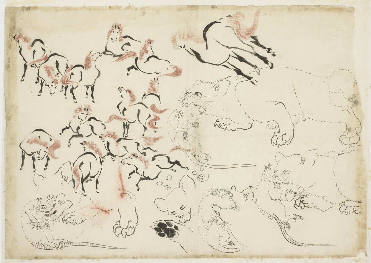 Badania koni, kotów i szczurów (od "Hokusai Manga"), ok. 1815-1849 (tusz i kolor na papierze) autorstwa Katsushika Hokusai