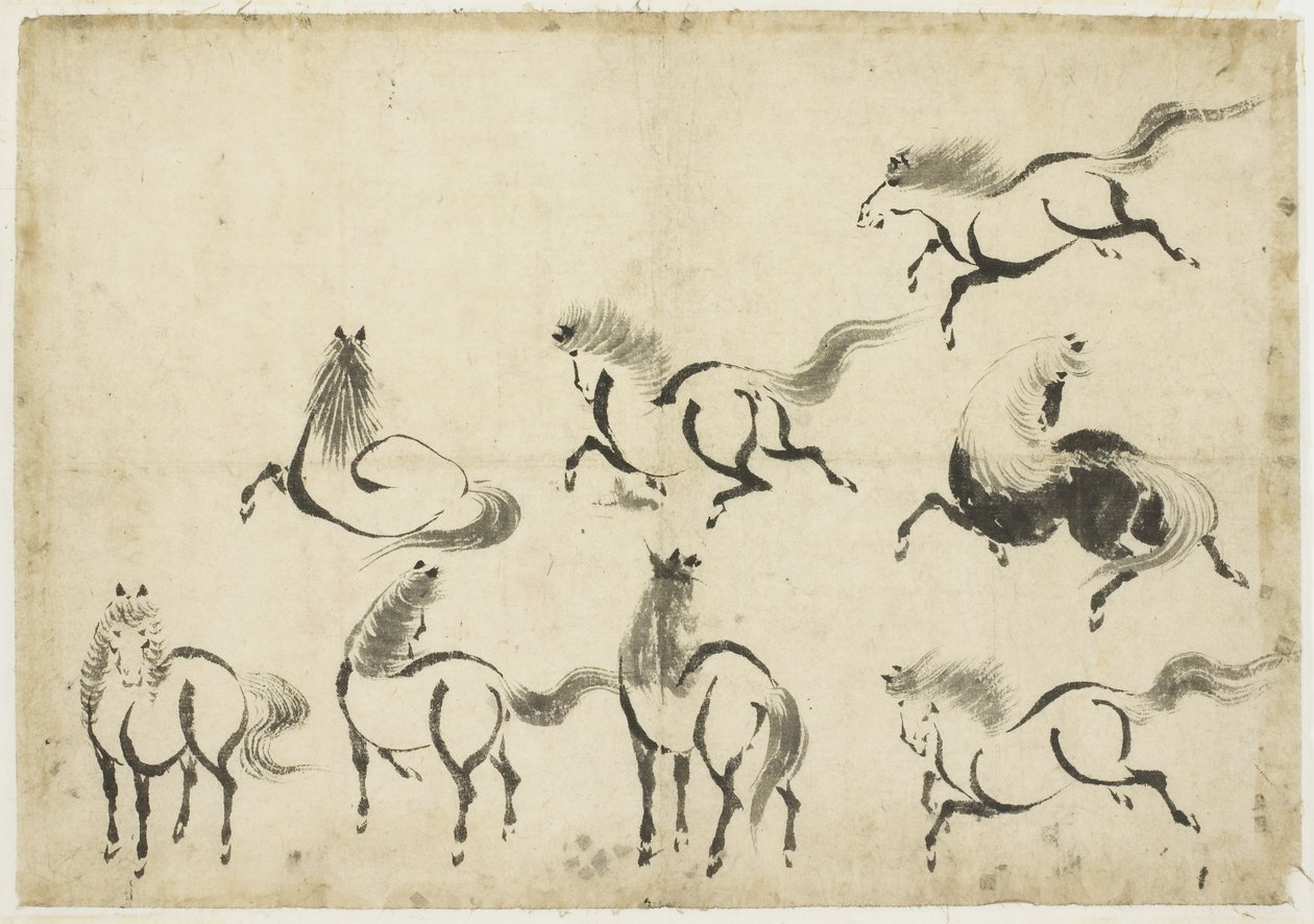 Badania koni, c.1815-1849 (tusz na papierze) autorstwa Katsushika Hokusai