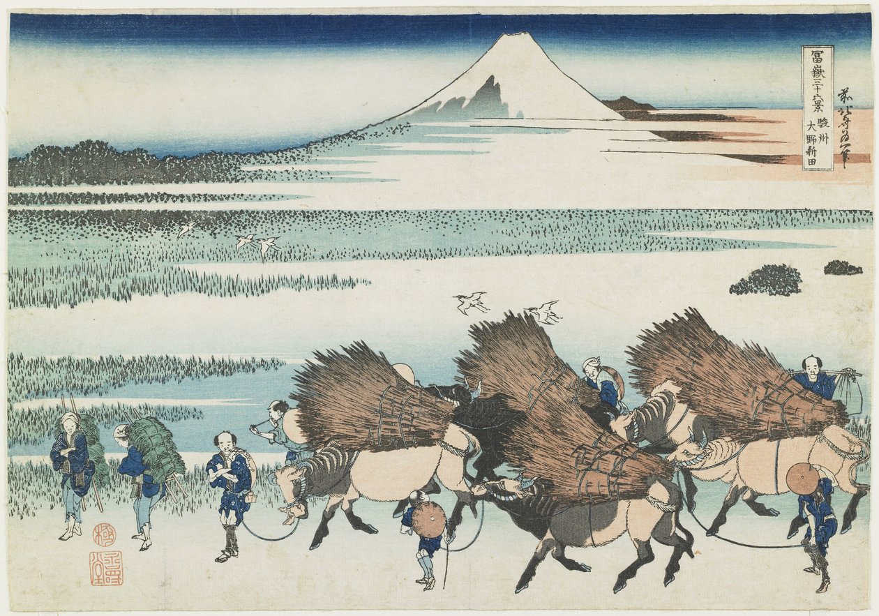 Paddies z O_no w prowincji Suruga, 1831-1834 autorstwa Katsushika Hokusai