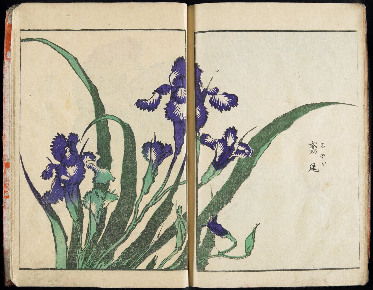Przekazywanie ducha i ukazywanie kształtu rzeczy: „Ogród obrazów” Hokusai, tom 1 – kompletny autorstwa Katsushika Hokusai